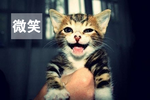 用心感受世界，因活著而幸福(圖1)